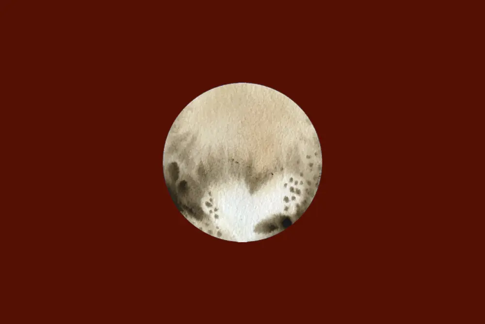 Pluto in All 12 Houses and 12 Signs