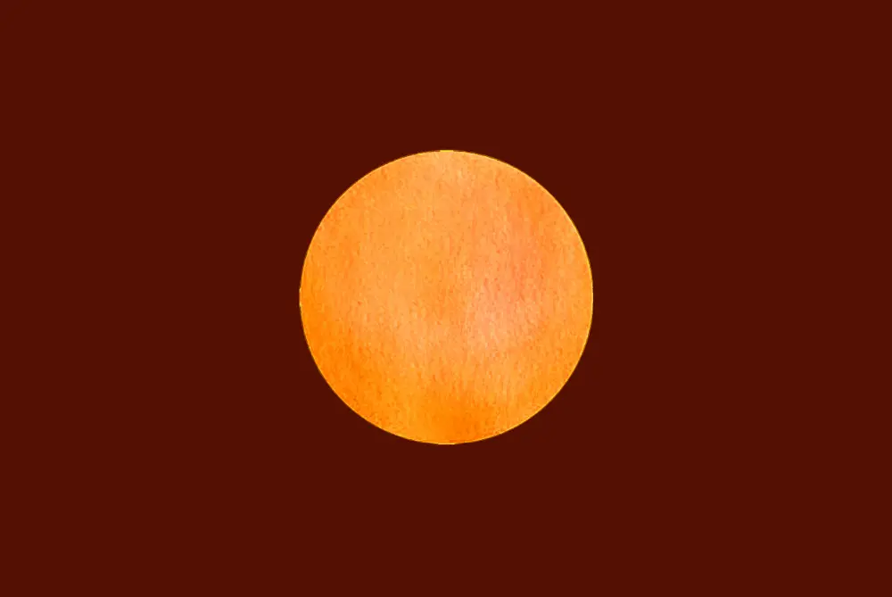 Sun in All 12 Houses and 12 Signs