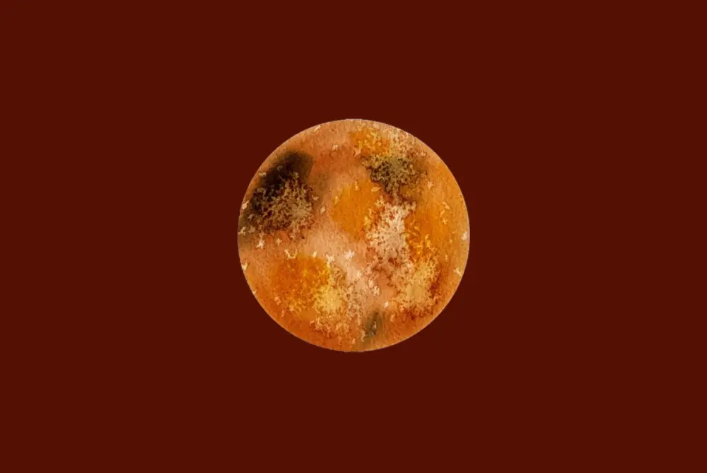 Venus in All 12 Houses and 12 Signs