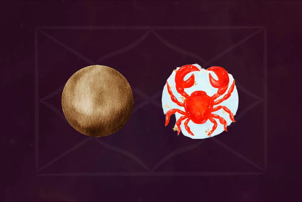 Rahu in All Houses for Cancer Ascendant