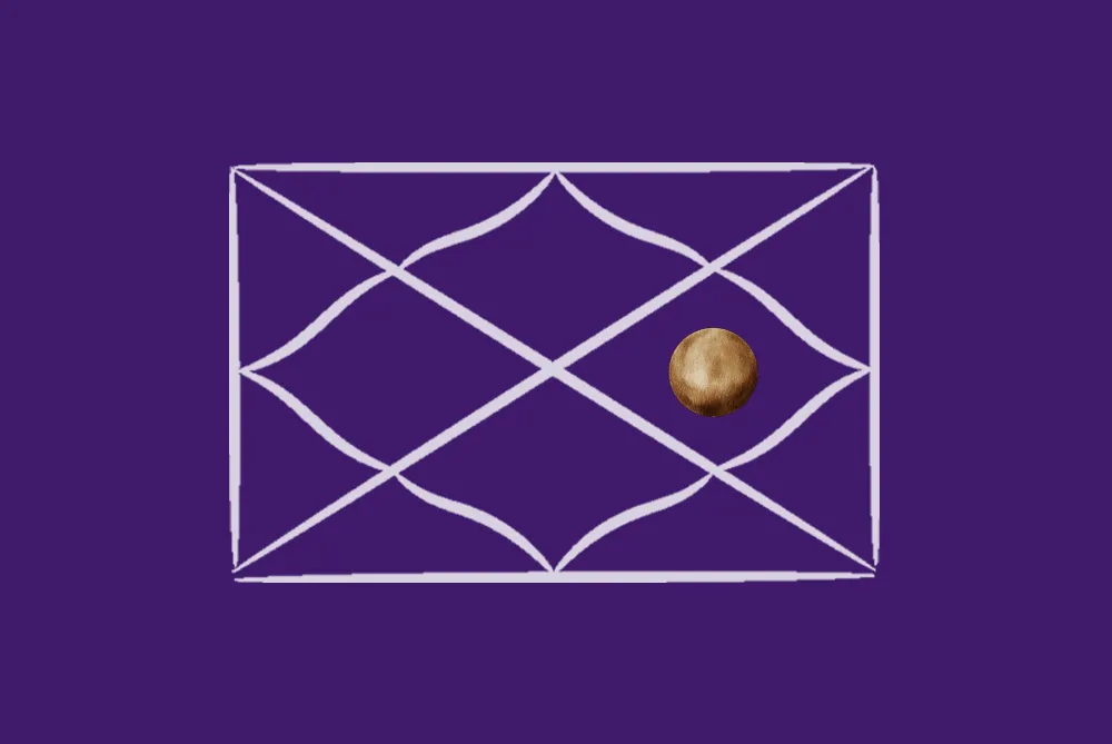 Rahu in the 10th House