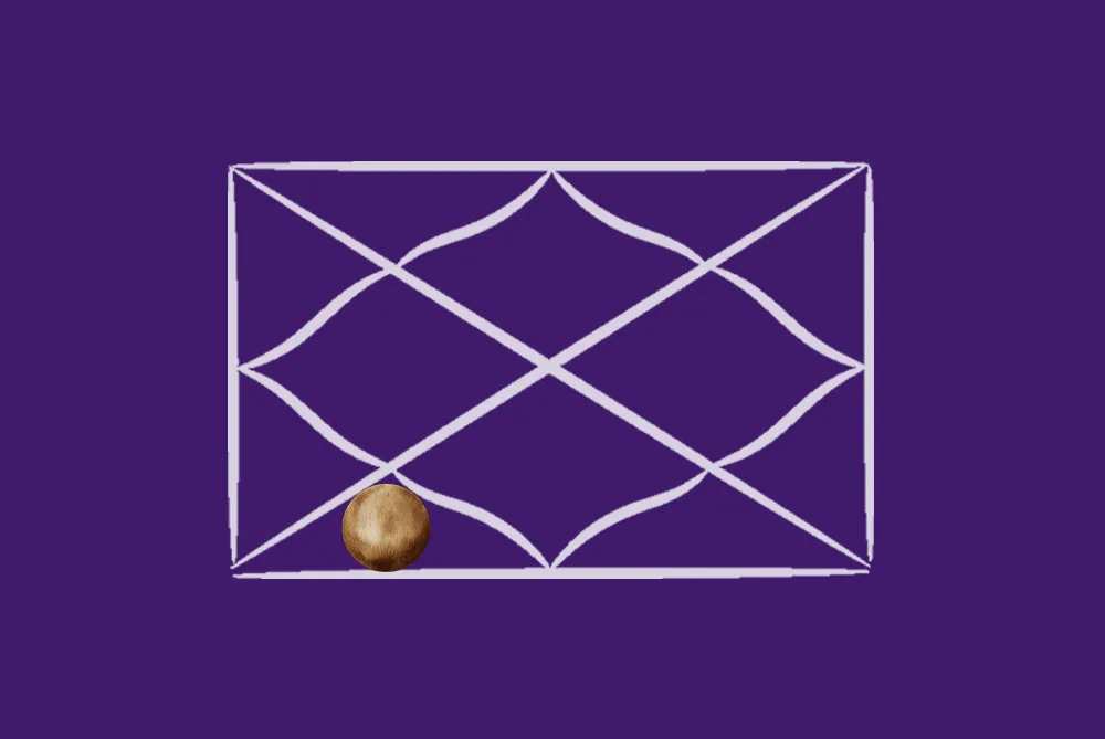 Rahu in the 6th House