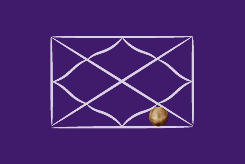 Rahu in the 8th House