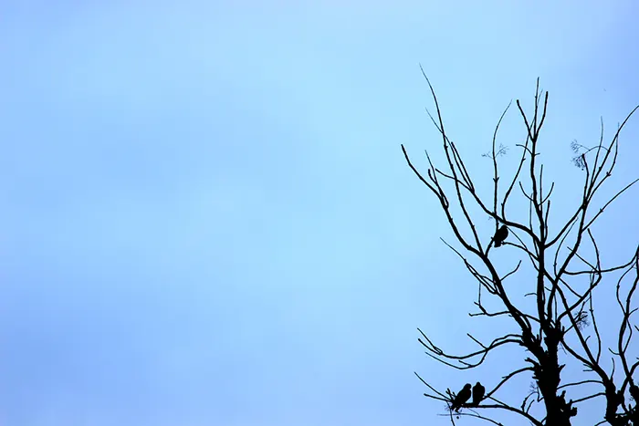 Becoming | Photograph by Nishit Jariwala